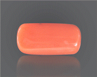 Natural Coral  7.93RTS-27365